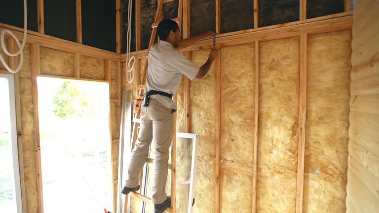 Best Fireproof Insulation  in Salem, MO